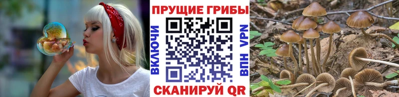 Псилоцибиновые грибы мухоморы  Чебаркуль 